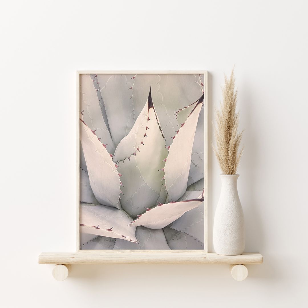 Agave