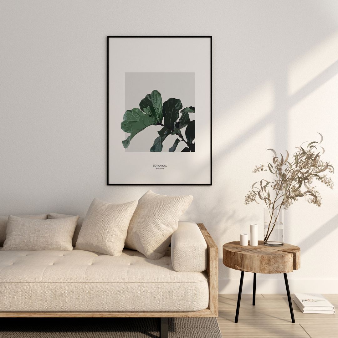 Fiddle Leaf