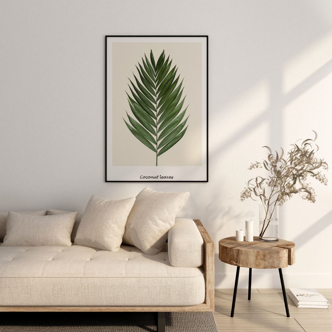 Coconut Palm