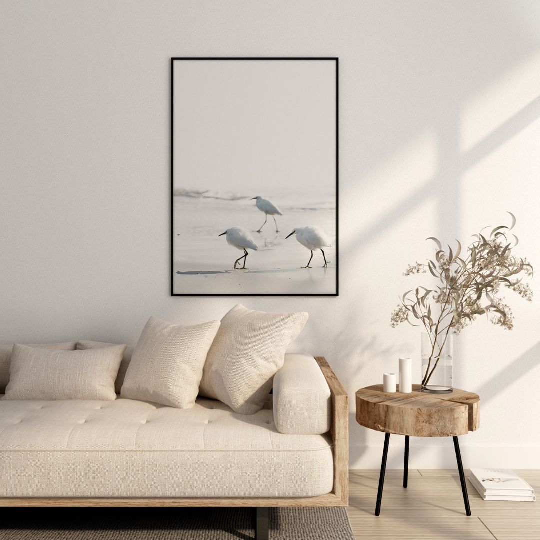 Ocean Birds