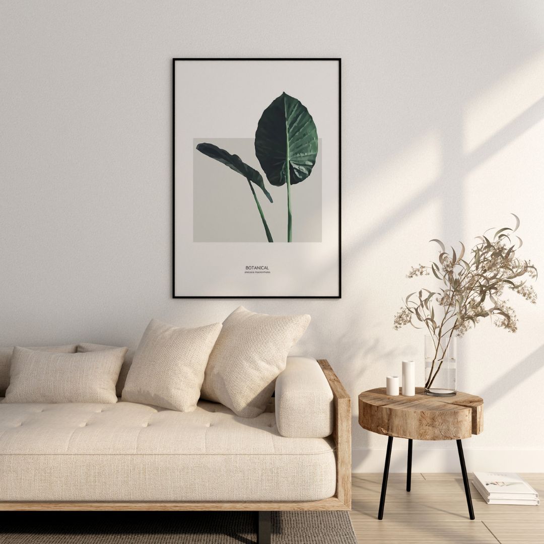 Alocasia Leaf