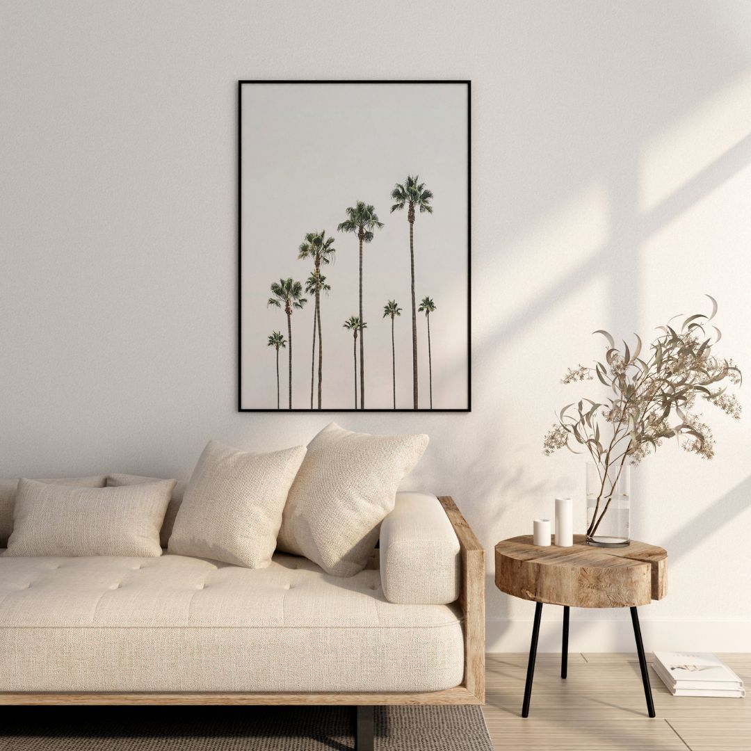 Palm Grove