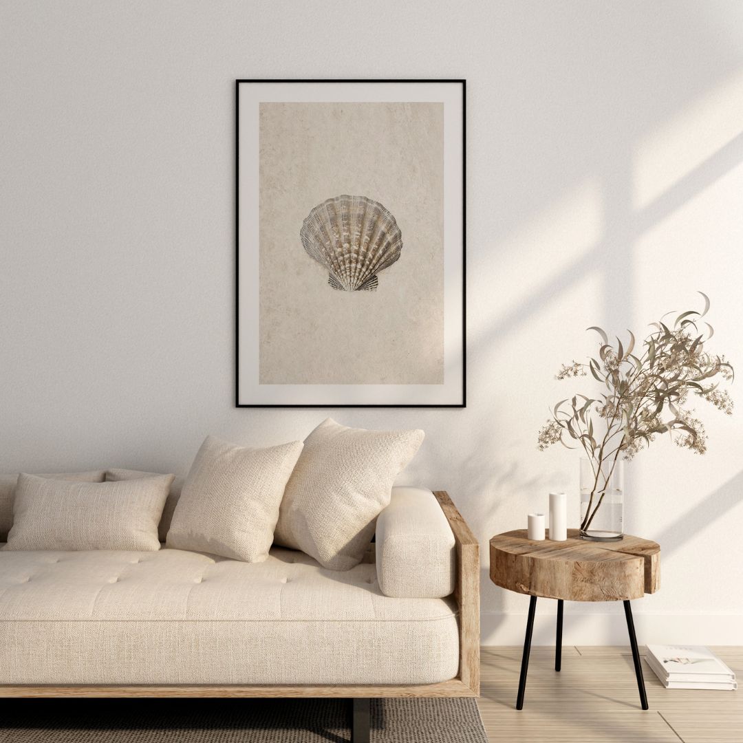 Shell Study