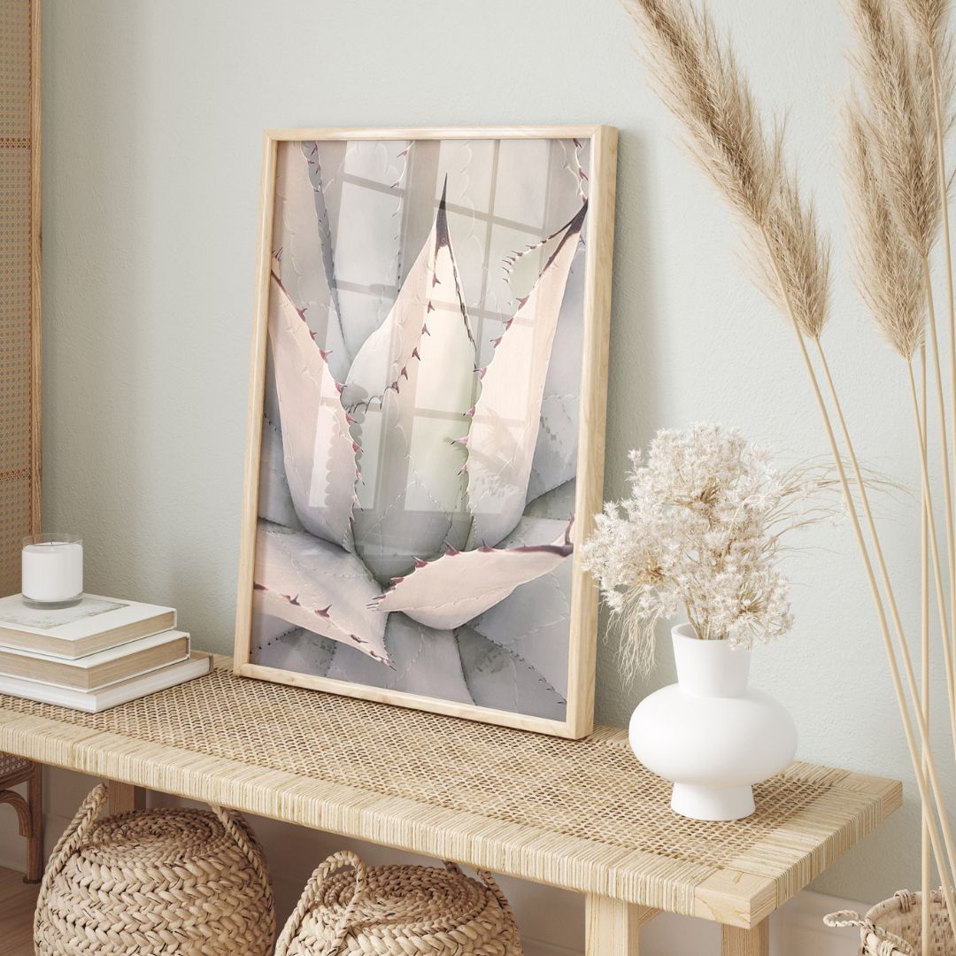 Agave