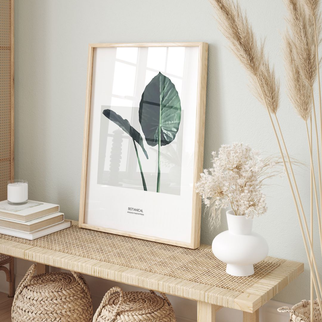 Alocasia Leaf