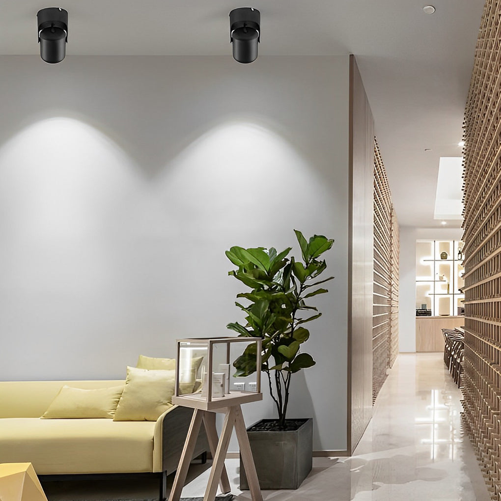 Aria Directional Light