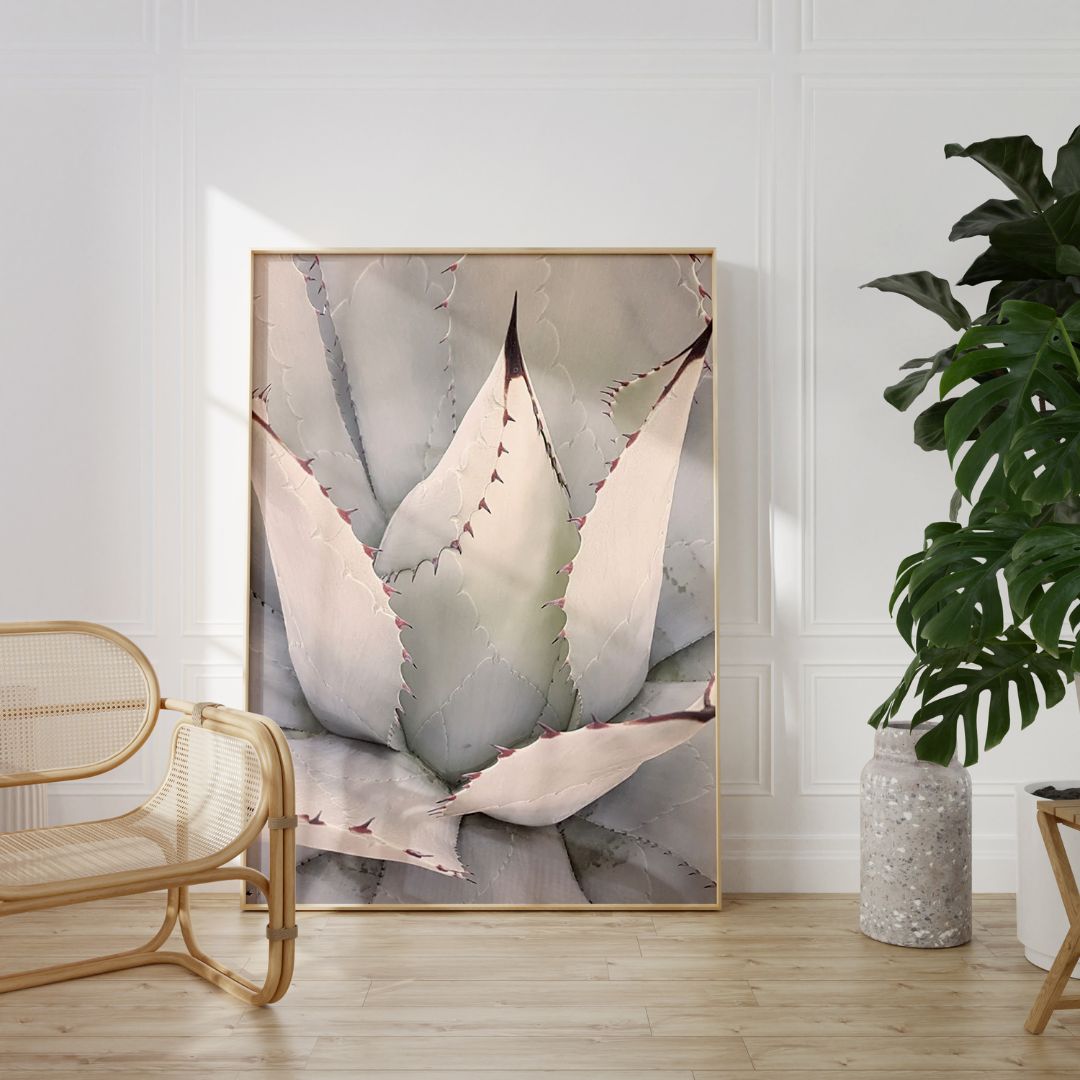 Agave