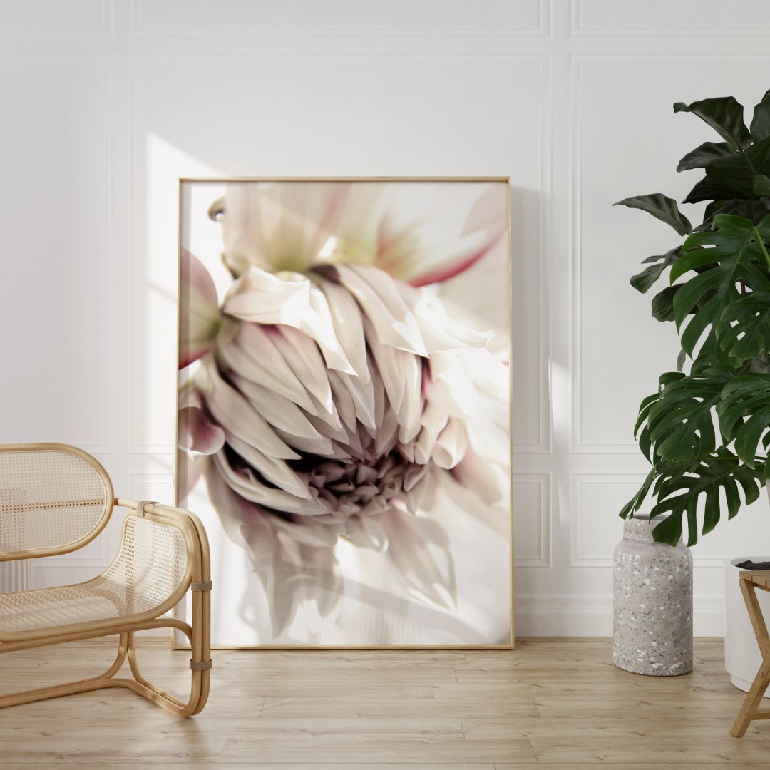 Floral Bloom