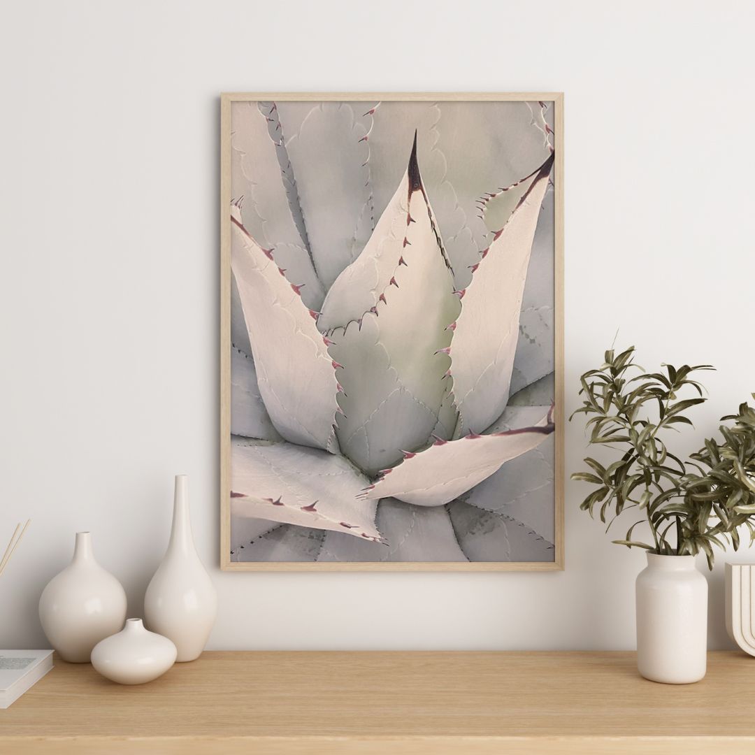 Agave