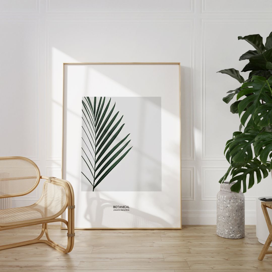 Palm Phoenix