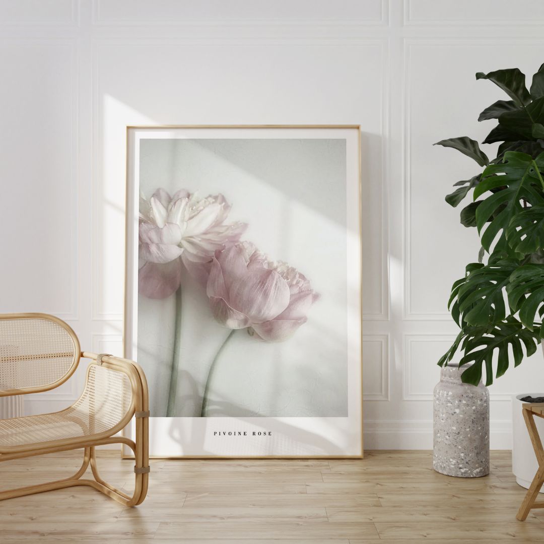 Pink Peony