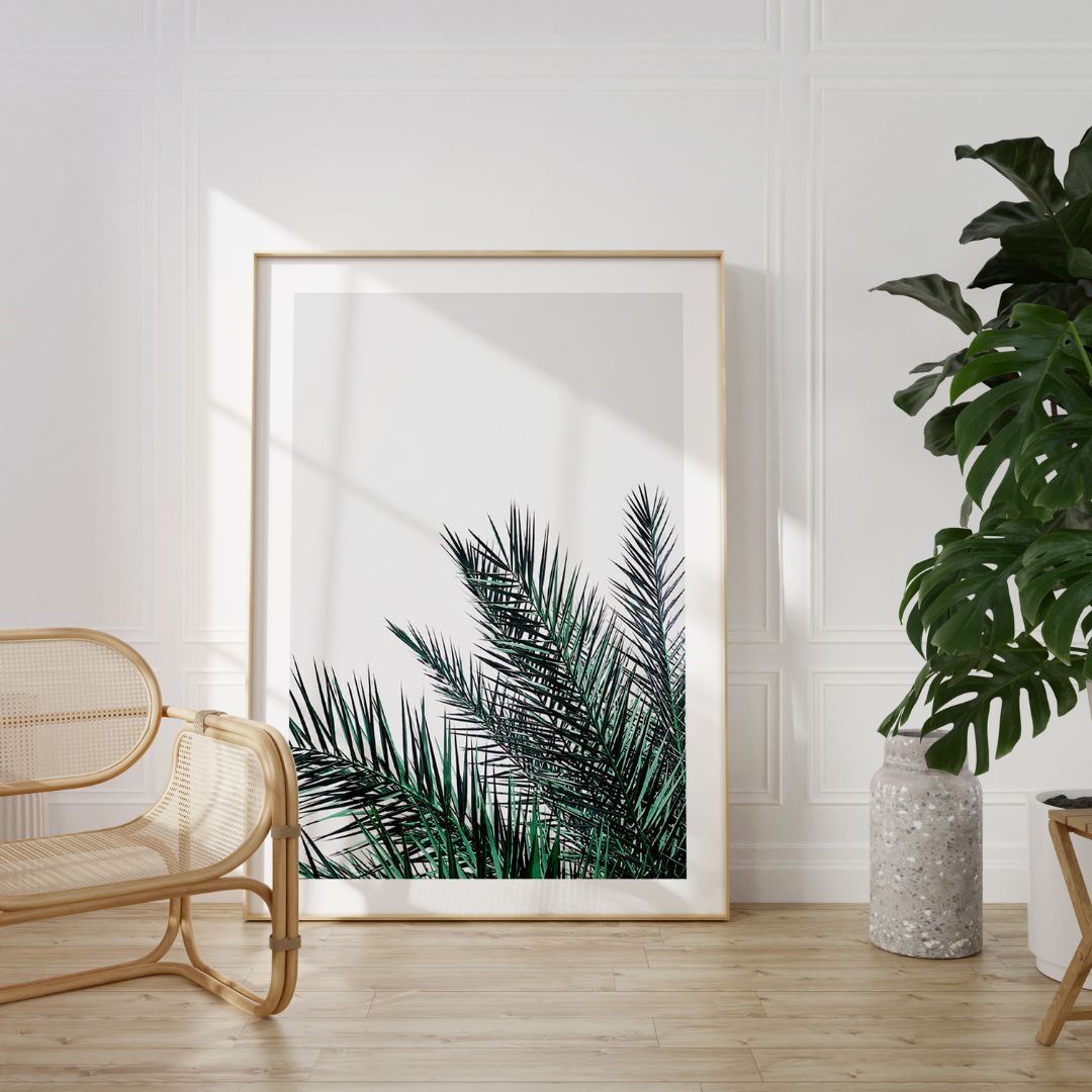Palm Leaf