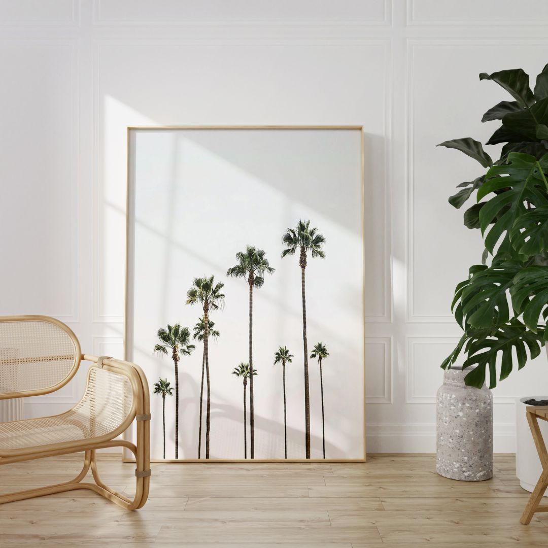 Palm Grove