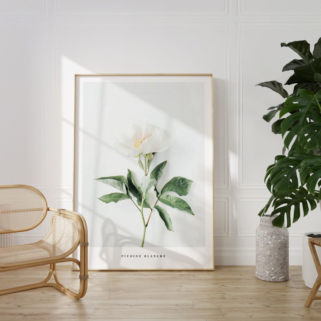 White Peony