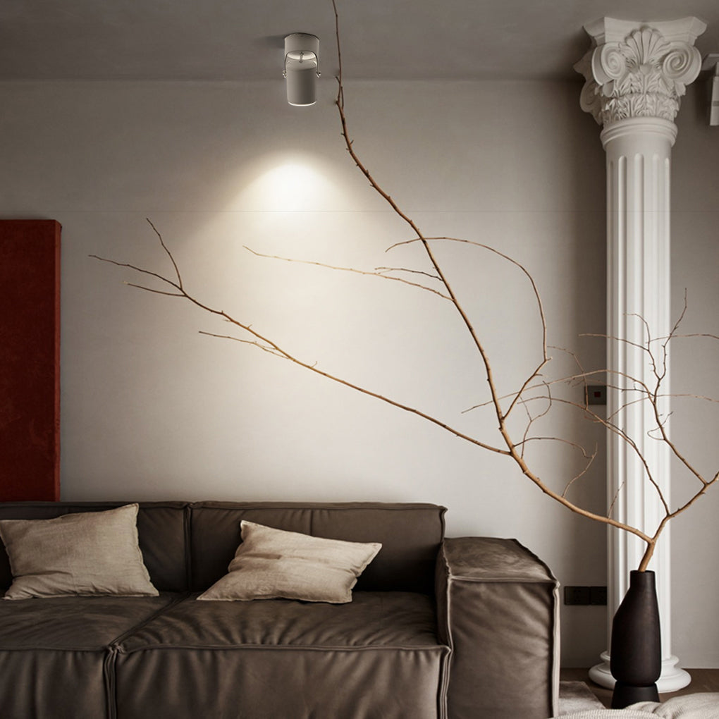 Aria Directional Light