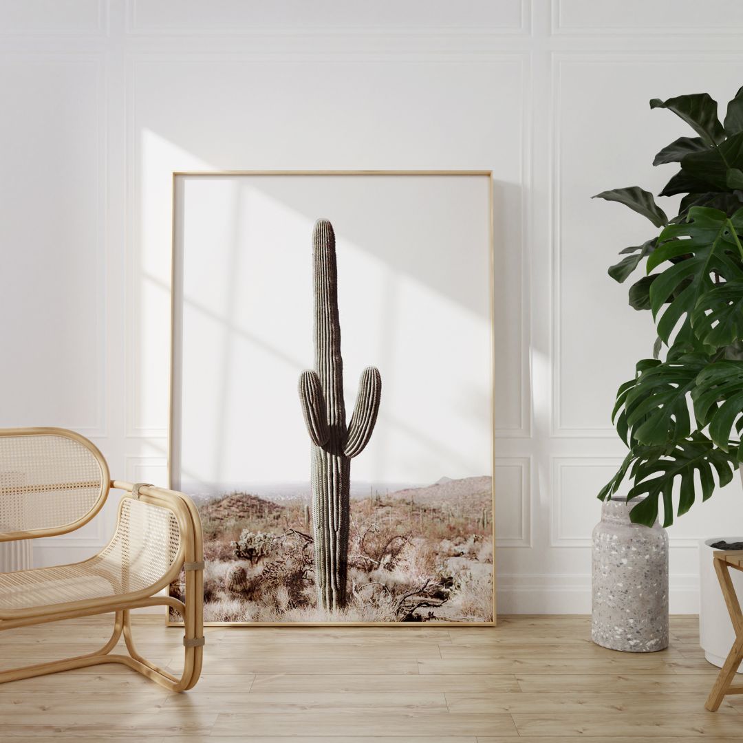 Saguaro
