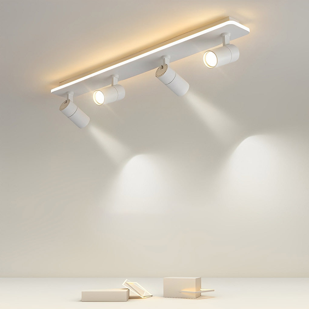 Indi Directional Light