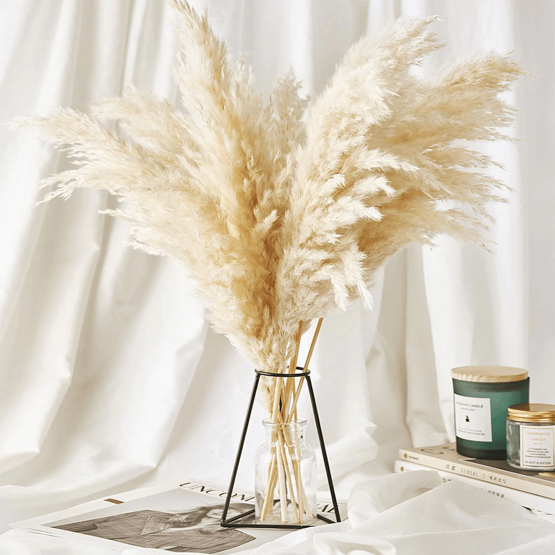 Dried Natural Pampas