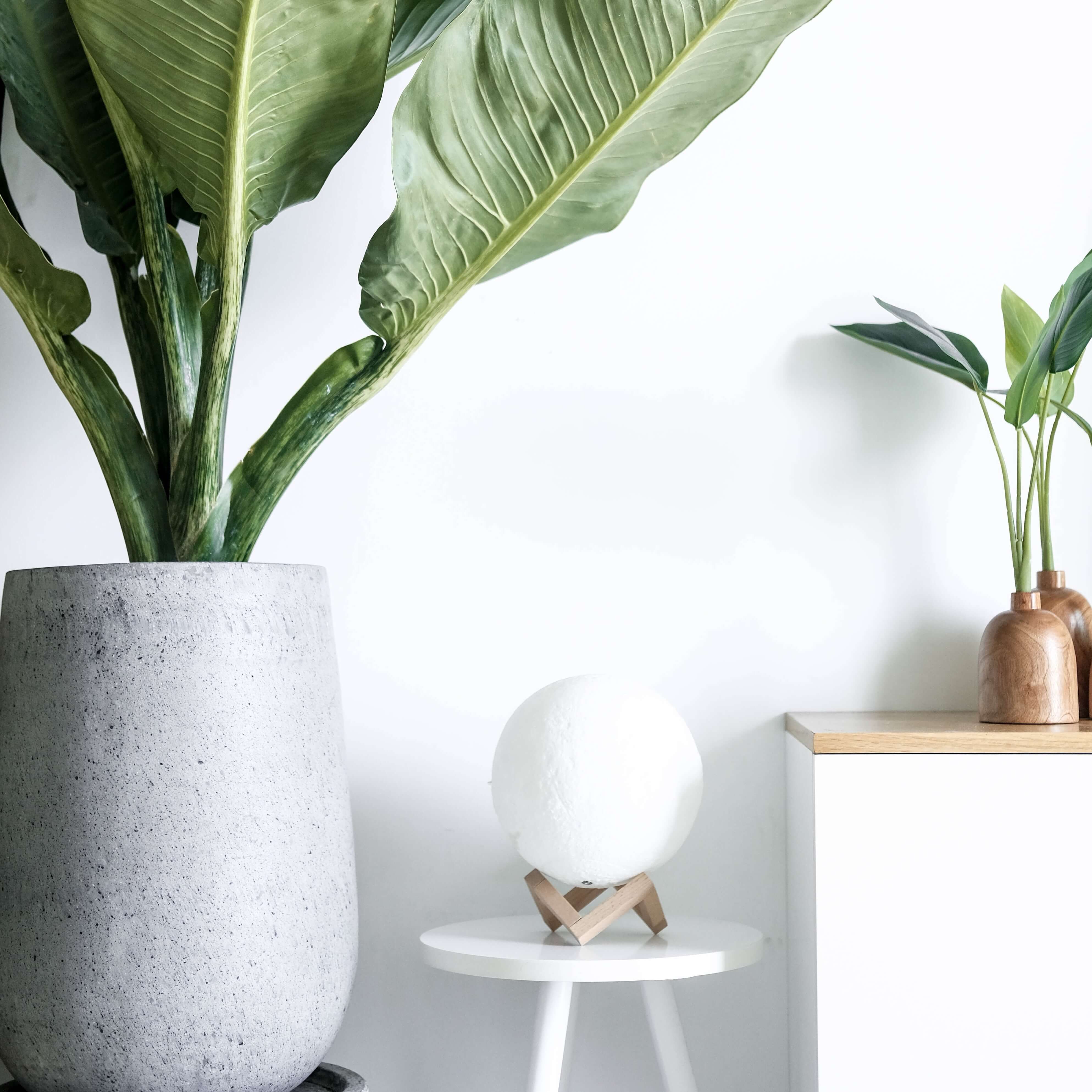 Celes Moon Lamp