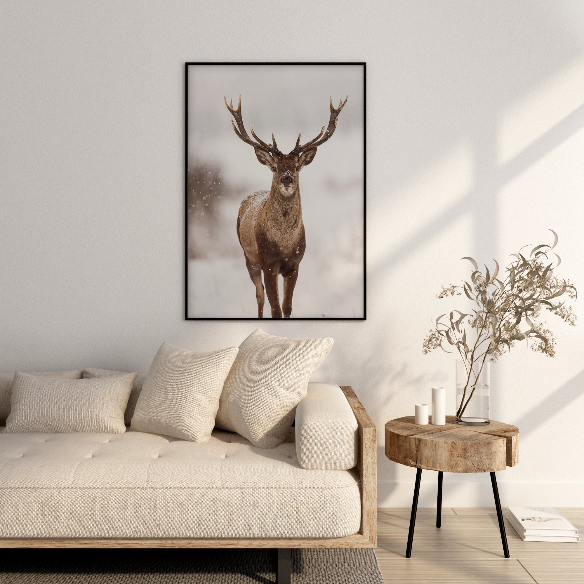 Wild Deer