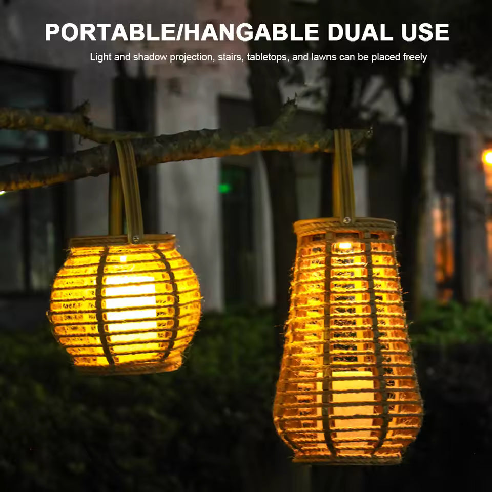 Solis Hanging Outdoor Lantern