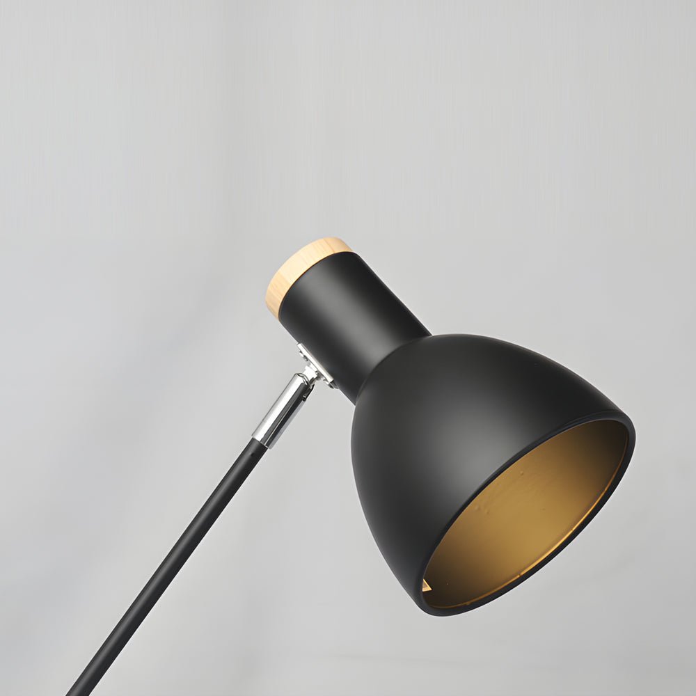 Cantile Desk Lamp