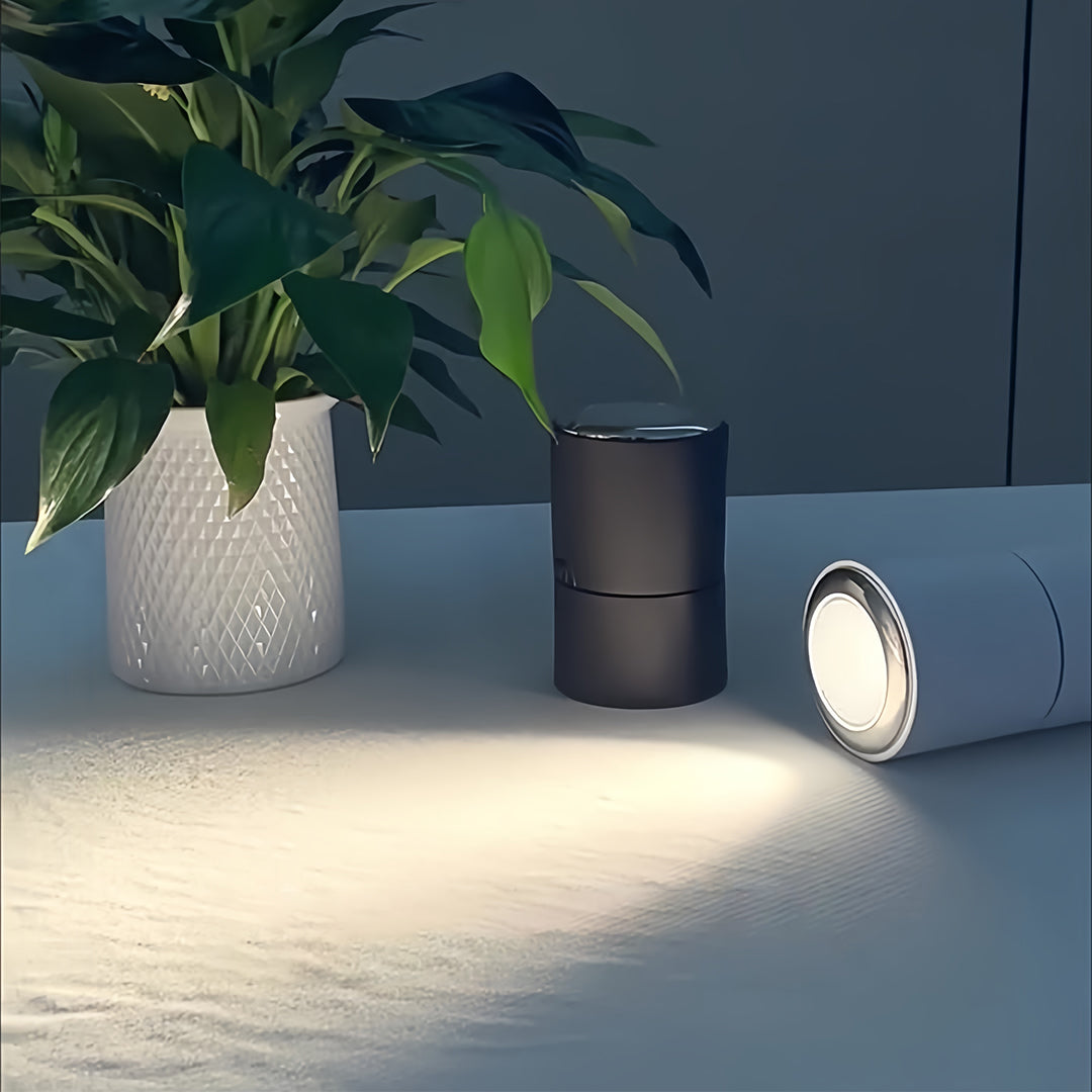 Kiara Directional Light