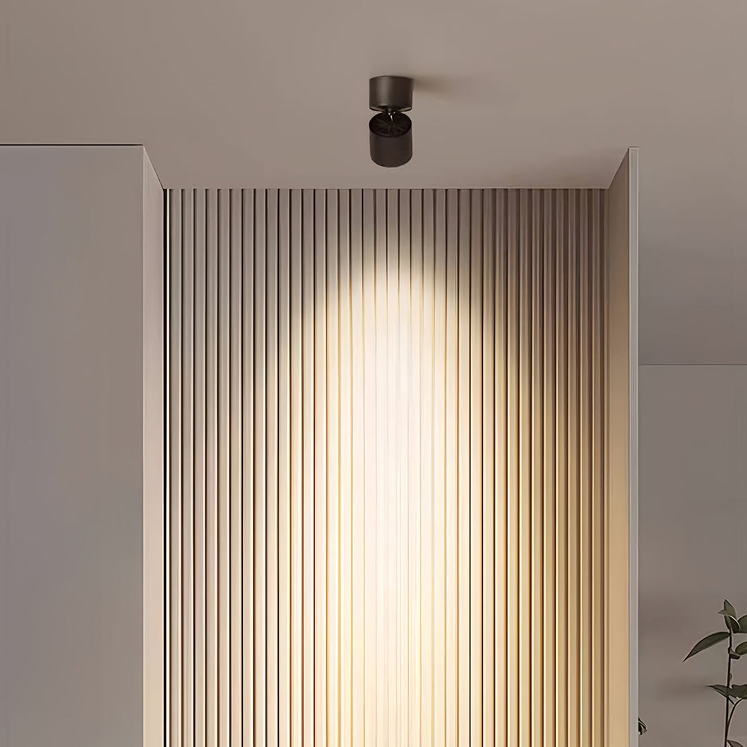 Kiara Directional Light