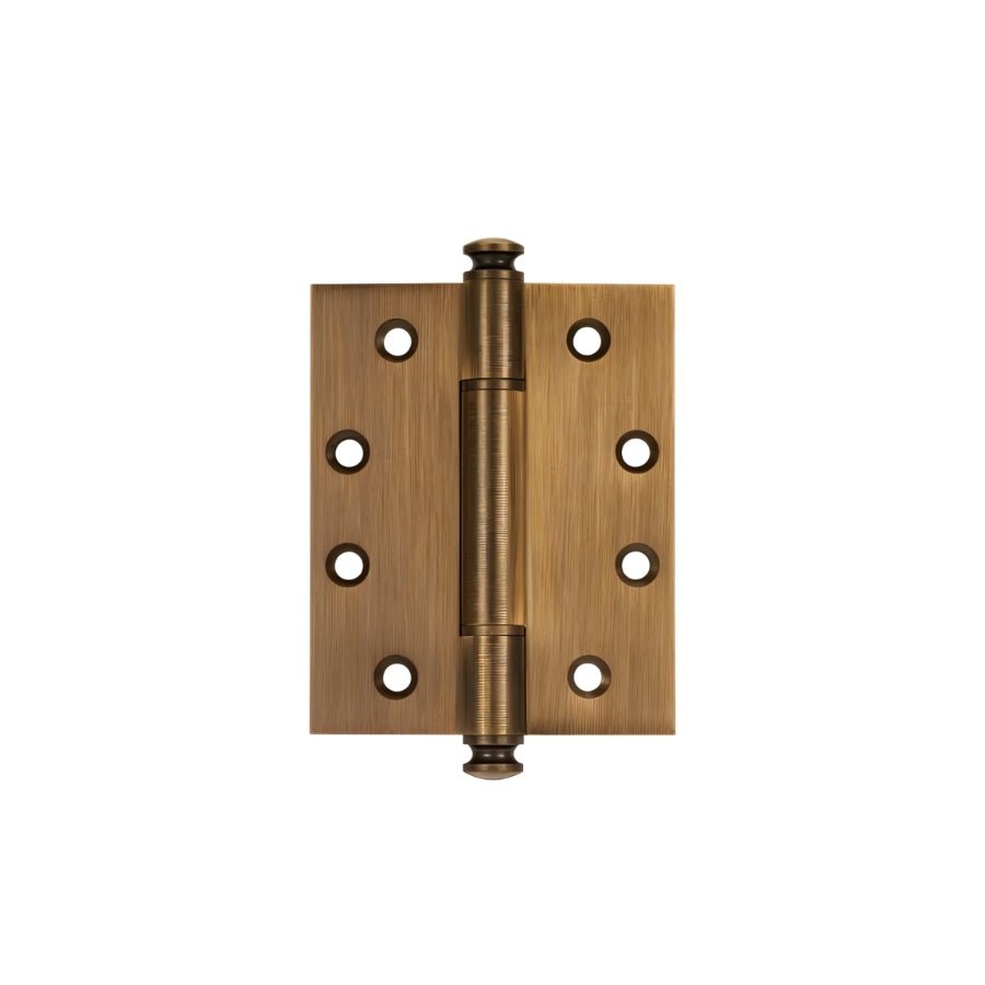 Orvexis Door Hinge