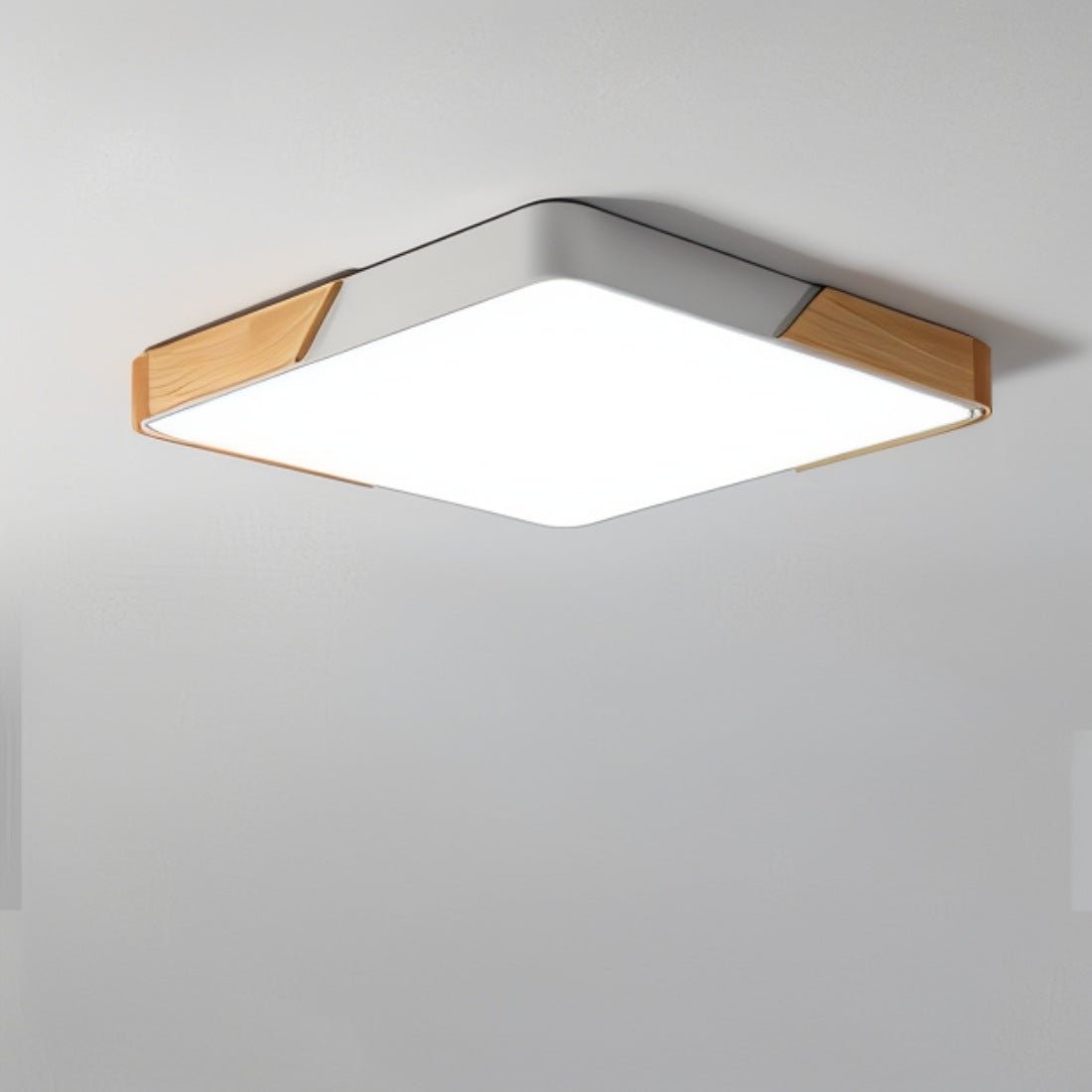 Feron Ceiling Light
