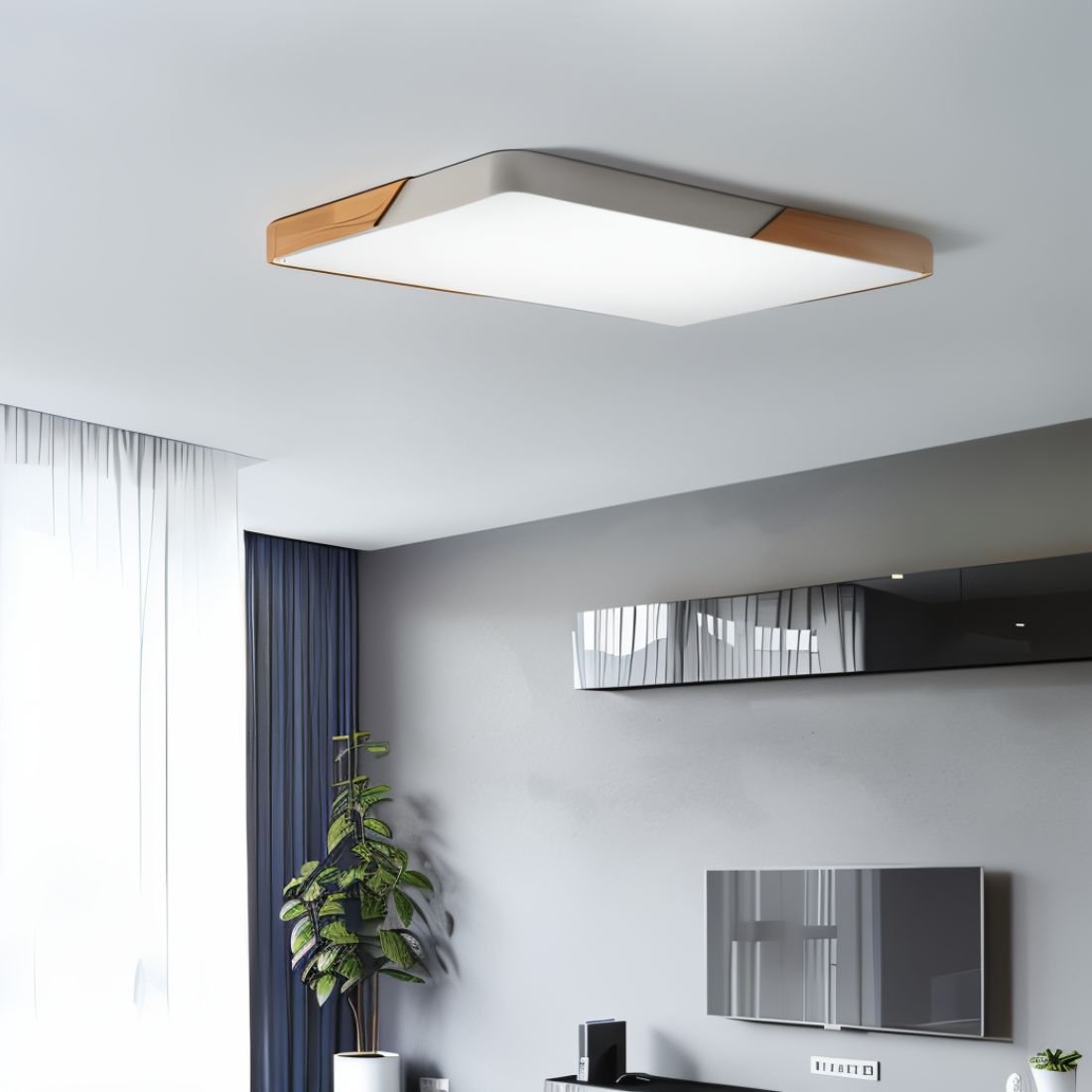 Feron Ceiling Light