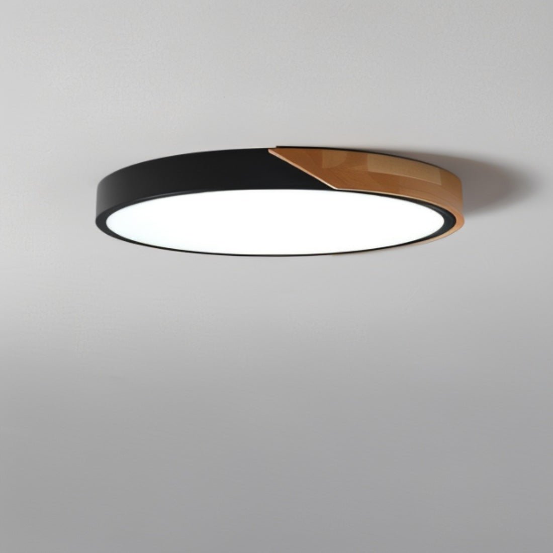 Feron Ceiling Light
