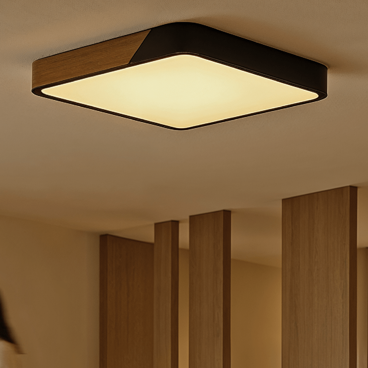Feron Ceiling Light
