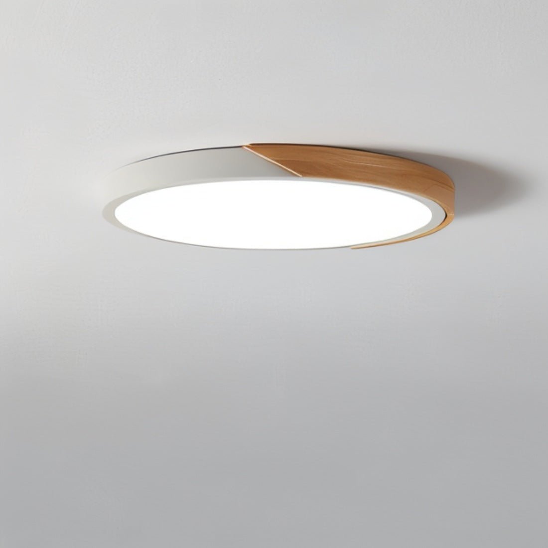 Feron Ceiling Light