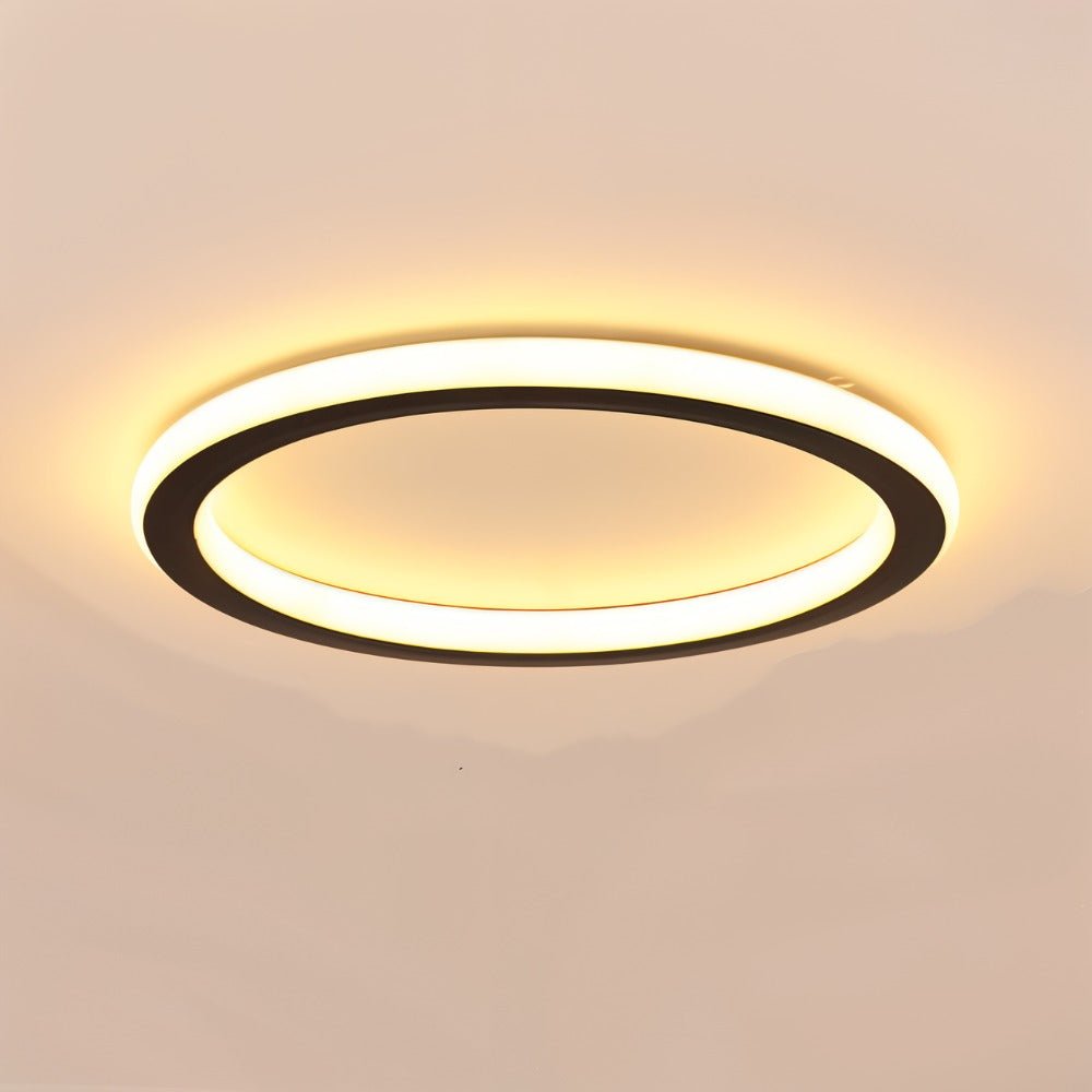 Orlune Ceiling Light