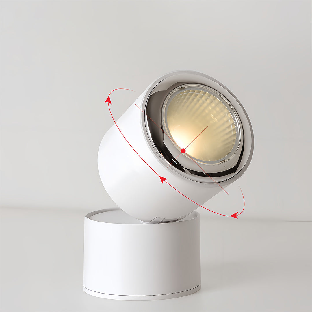 Kiara Directional Light
