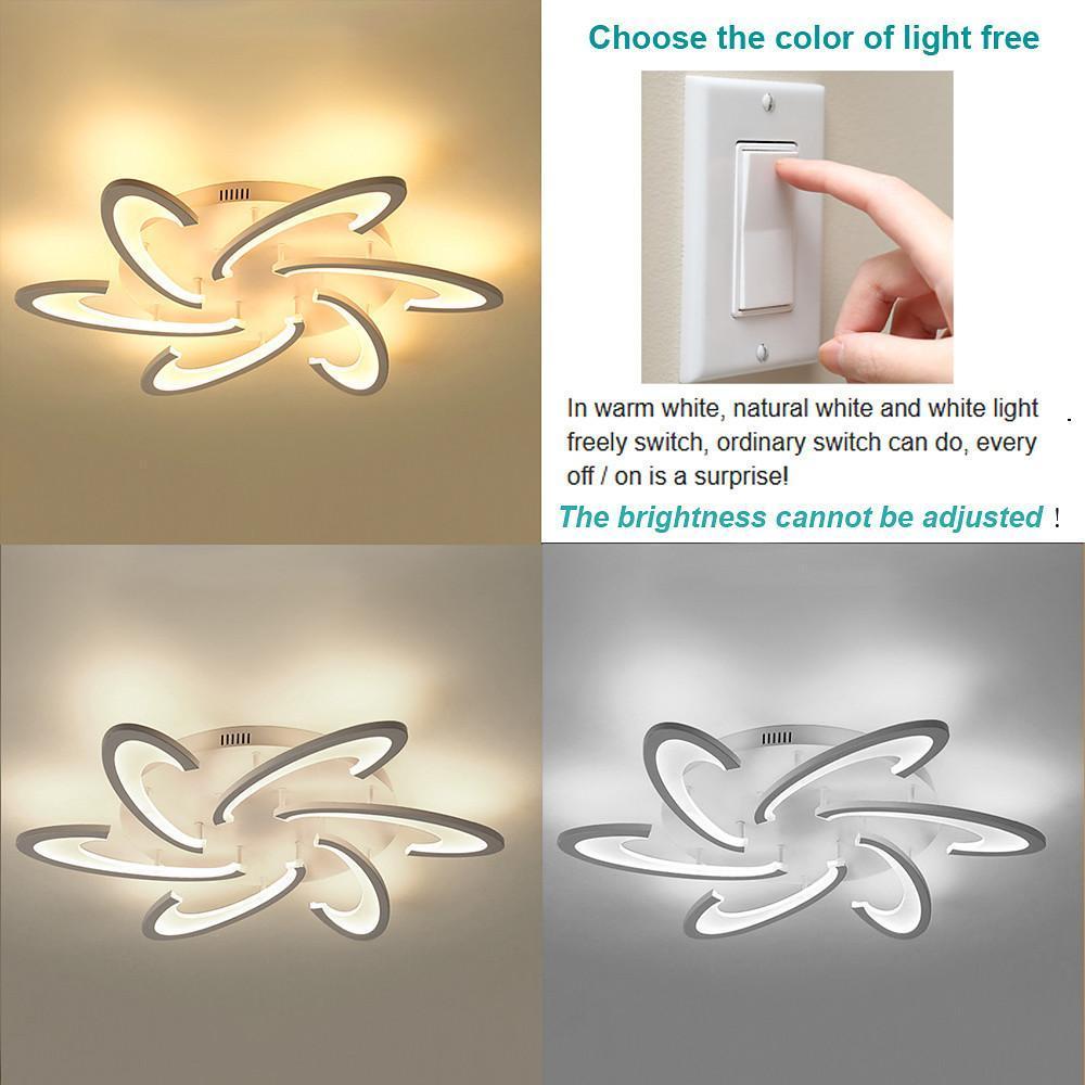 Ovela Ceiling Light