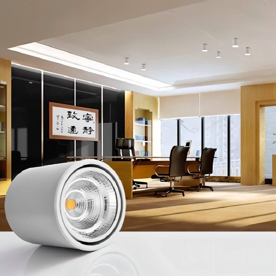Amara Downlight