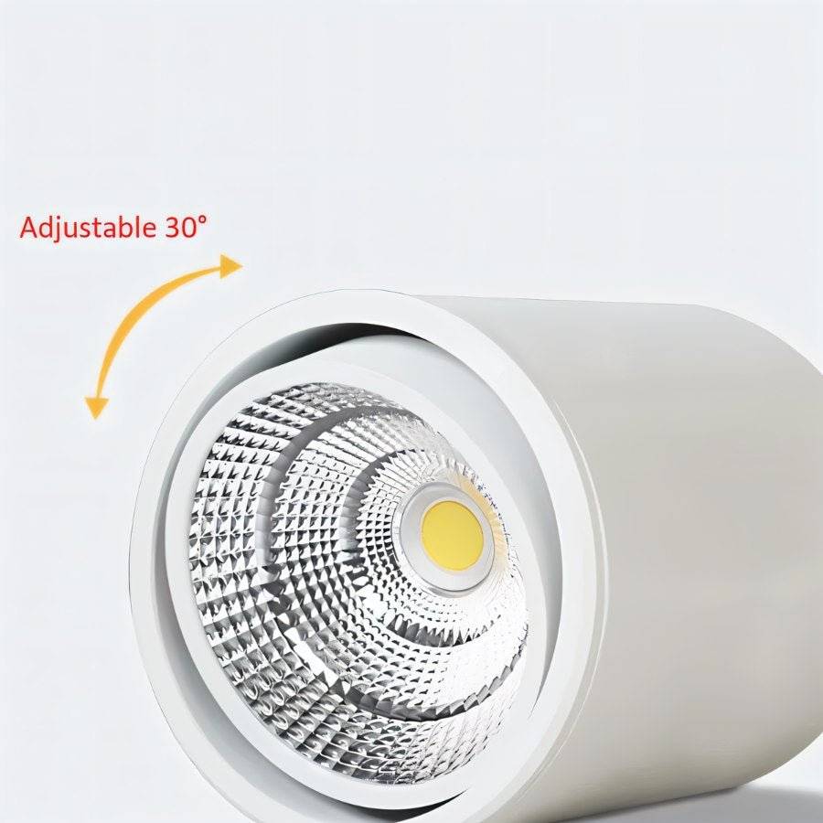 Amara Downlight