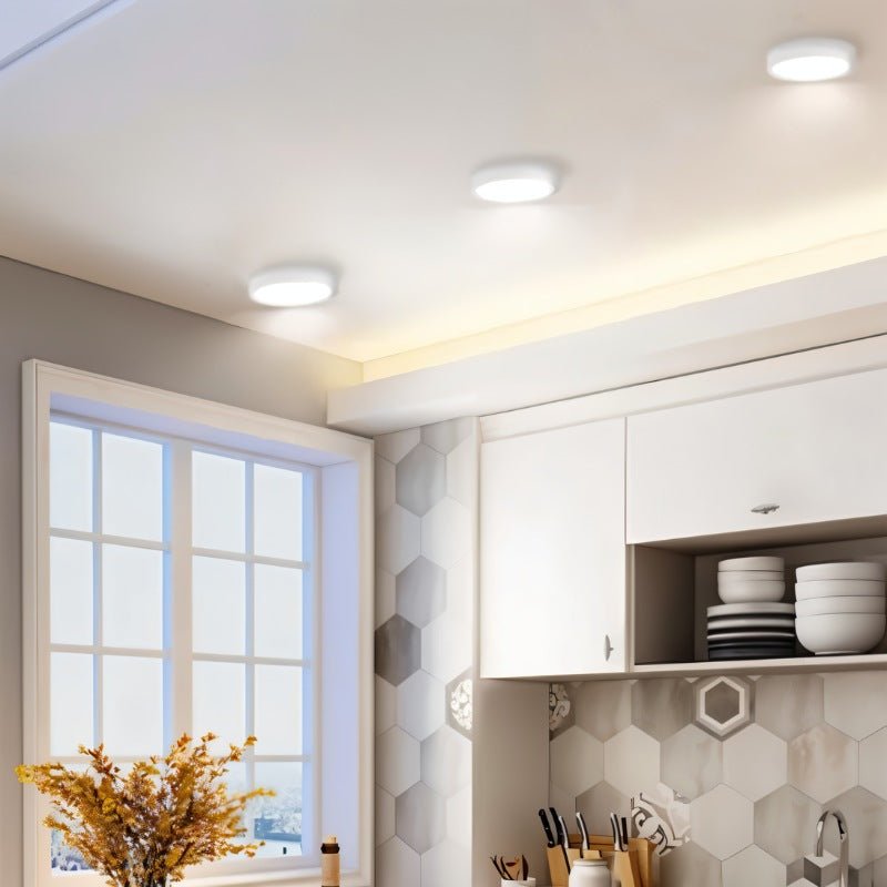 Orvane Downlight