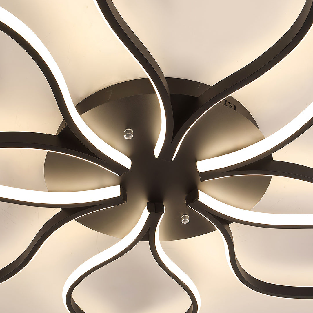 Lioro Ceiling Light