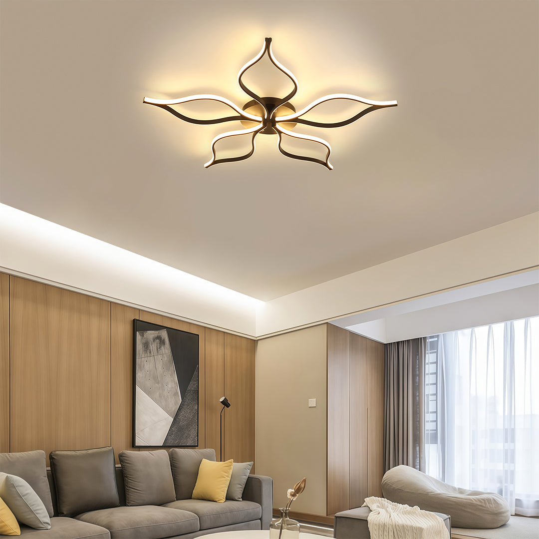 Lioro Ceiling Light