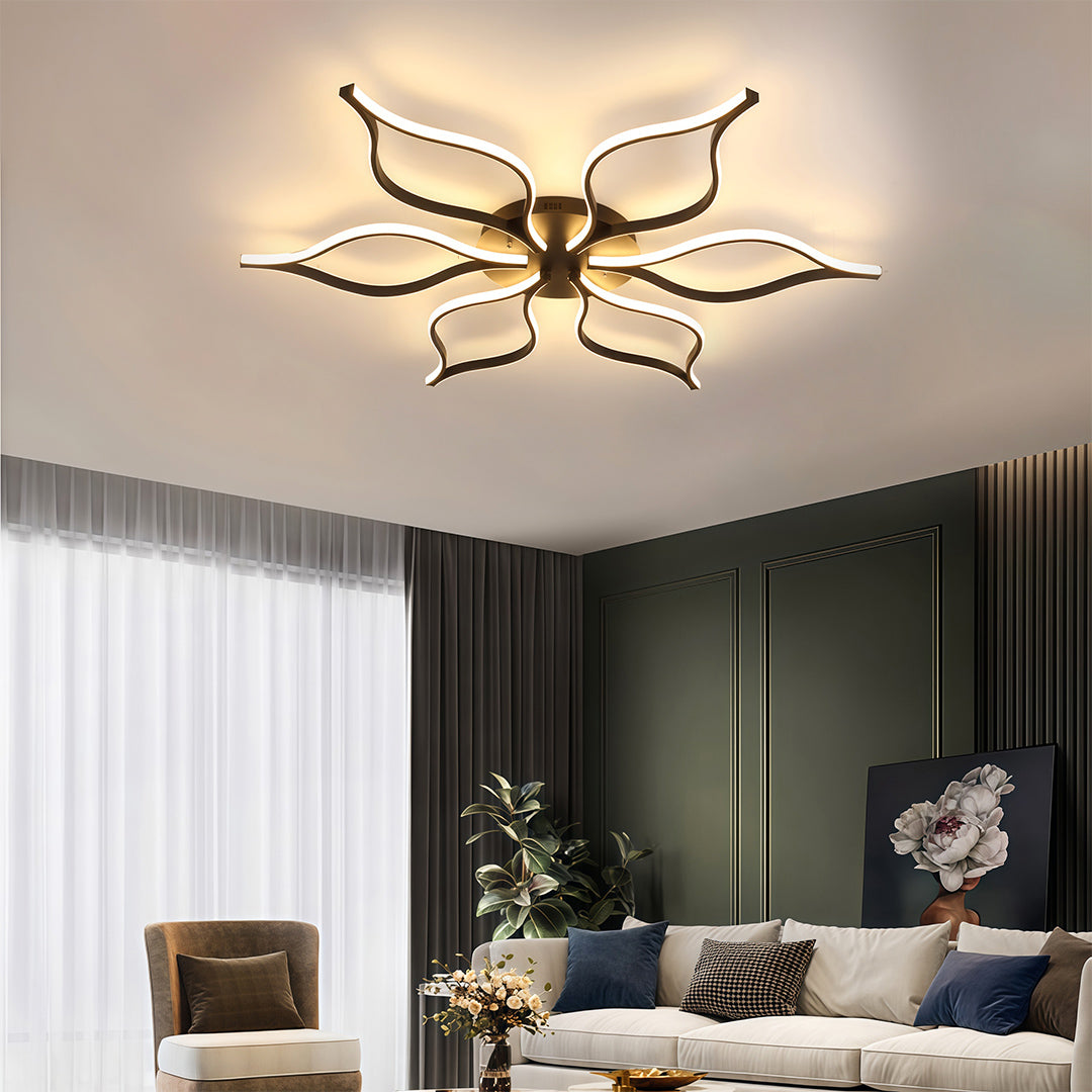 Lioro Ceiling Light