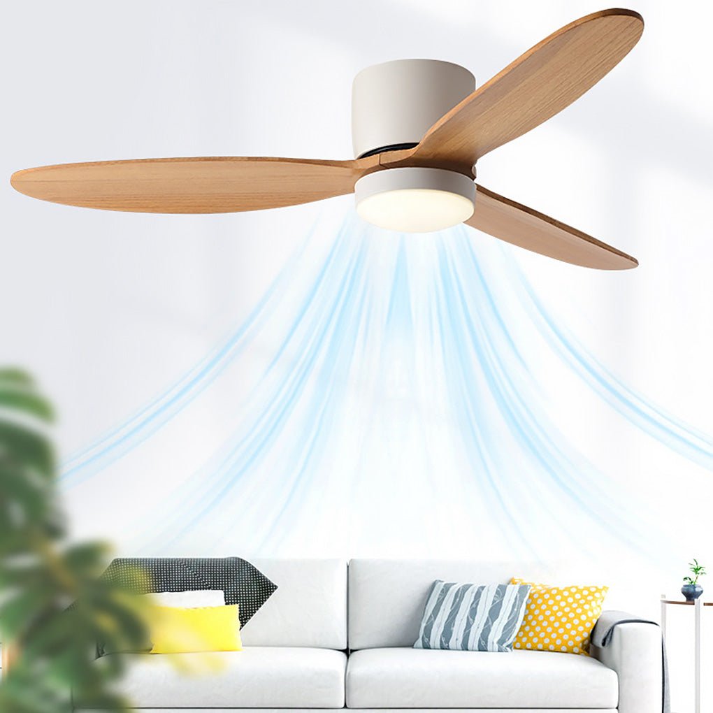 Maia Ceiling Fan