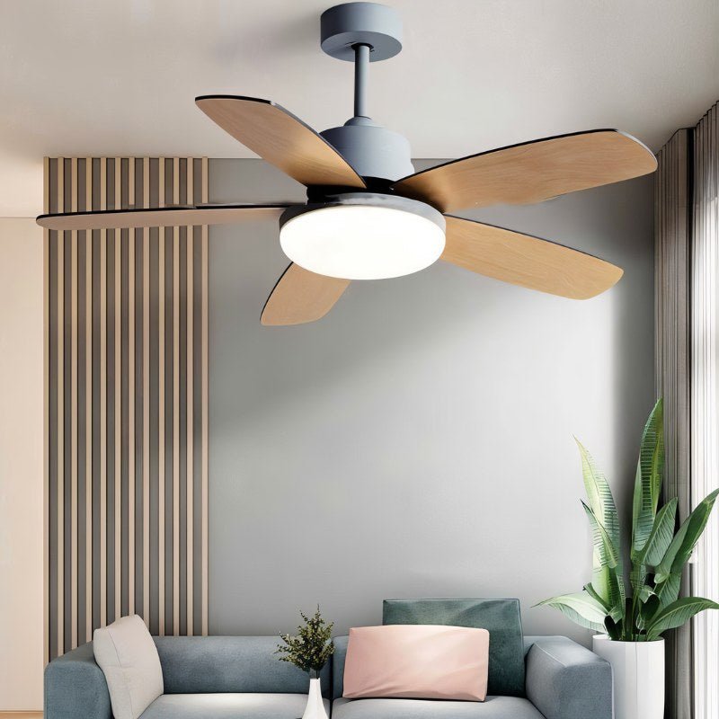 Ravion Ceiling Fan