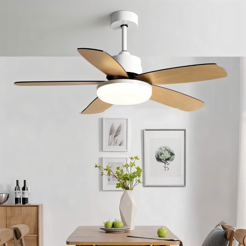 Ravion Ceiling Fan