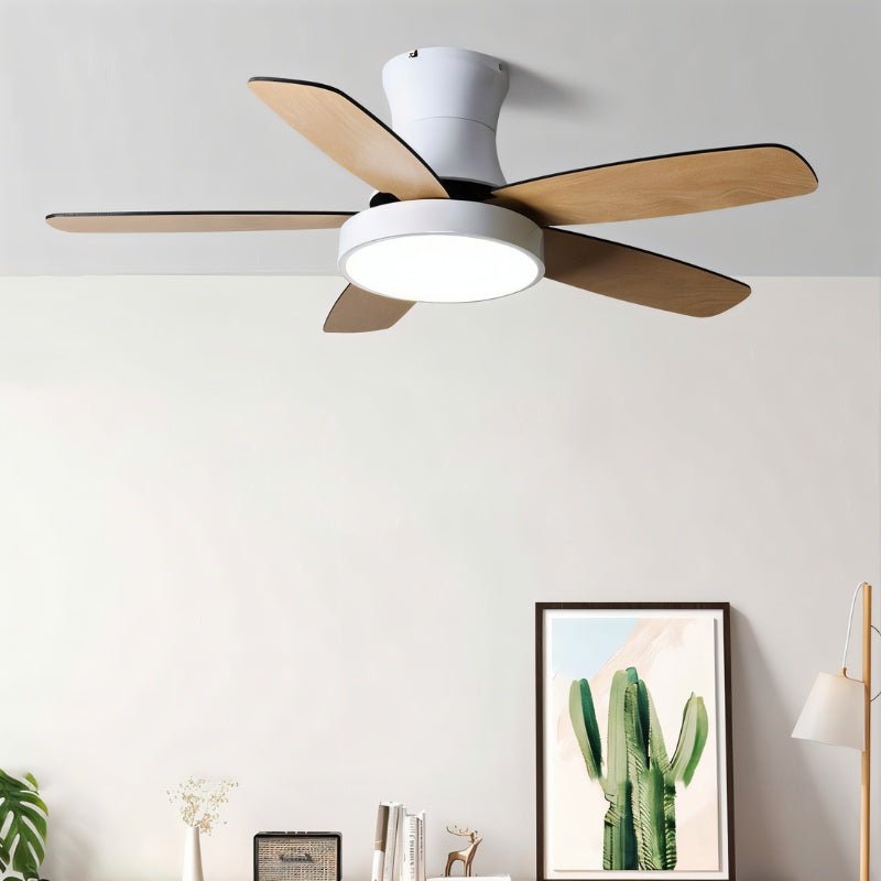 Ravion Ceiling Fan
