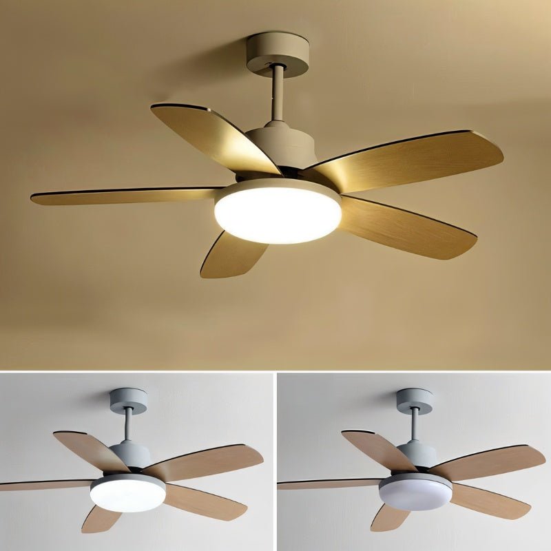Ravion Ceiling Fan