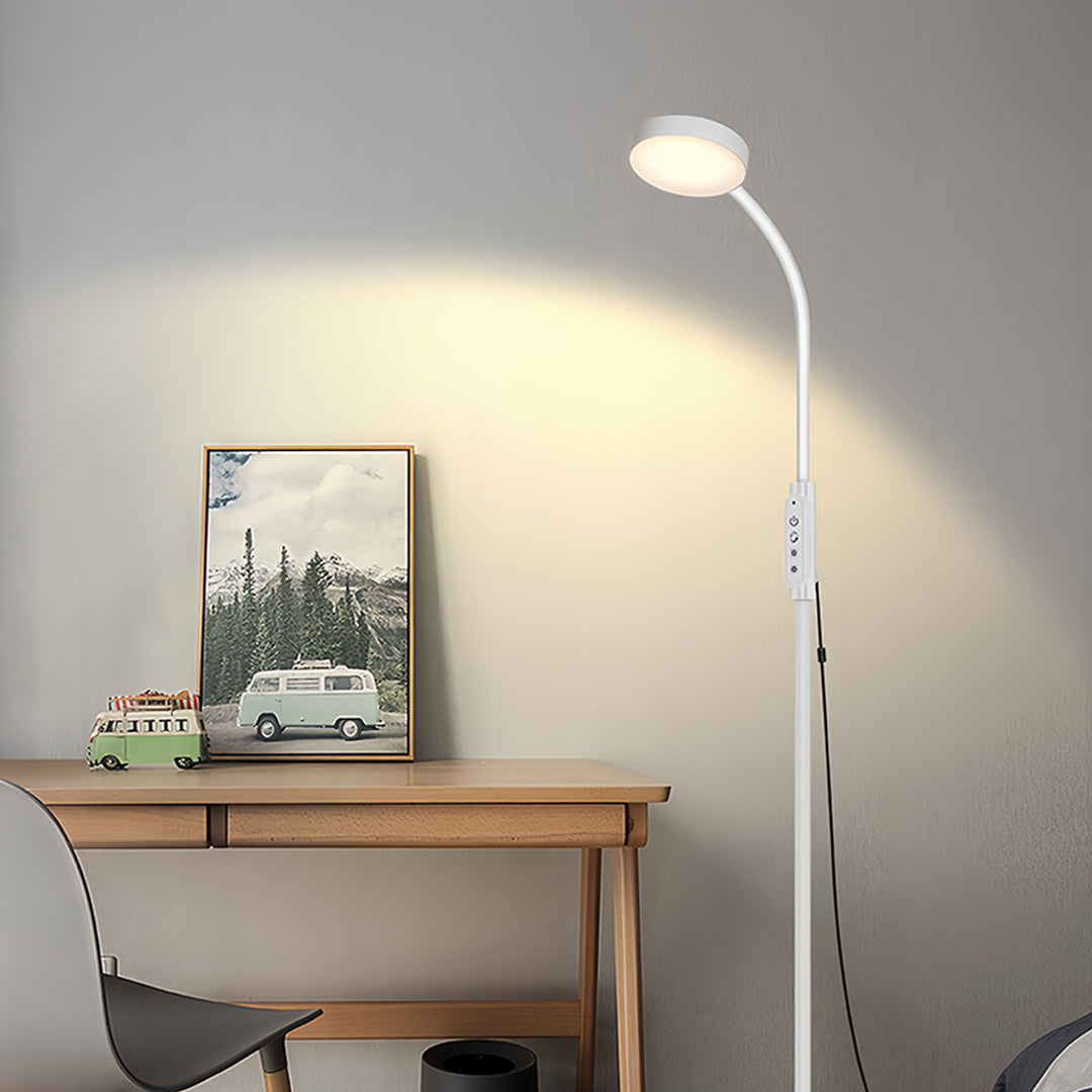 Clara Floor Lamp