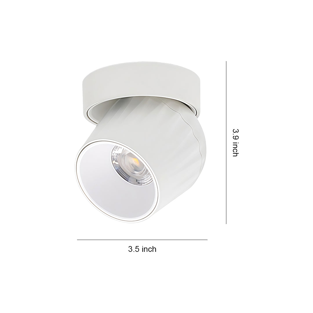 Cleo Directional Light